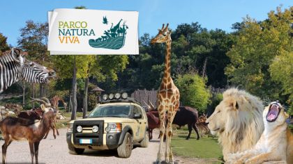 Ingresso serale gratuito al Parco Natura Viva Ingresso serale gratuito al Parco Natura Viva