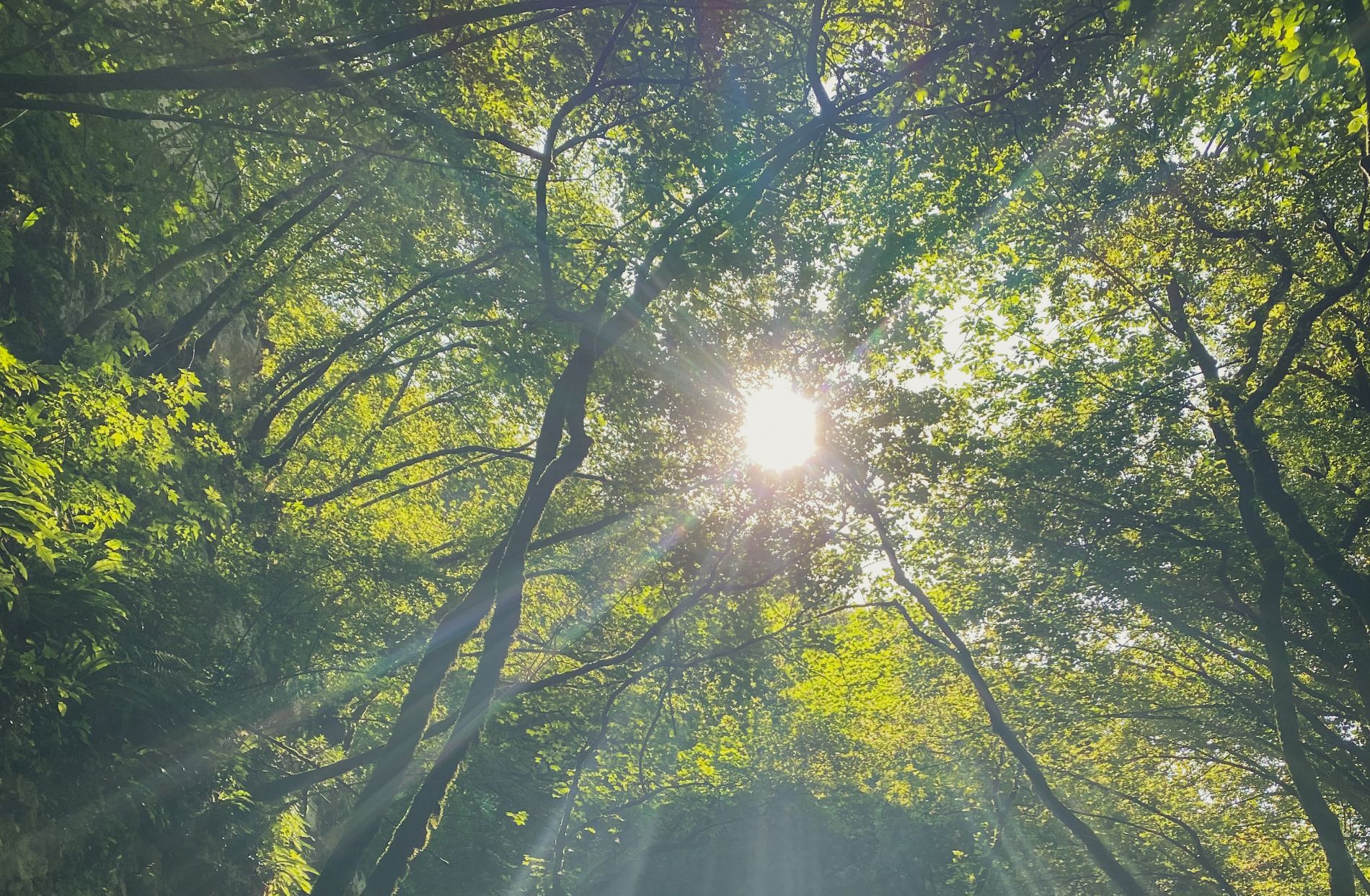 Bellezze di un ambiente puro